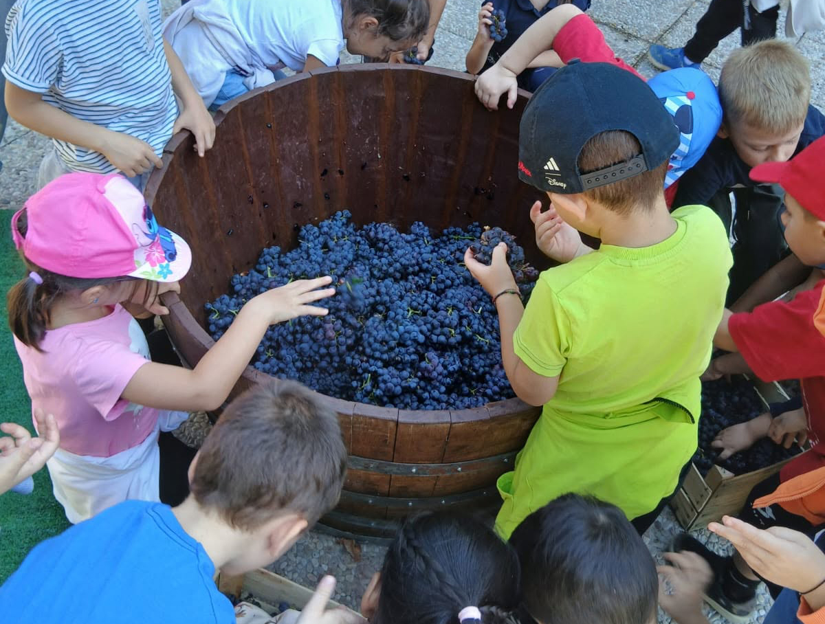 🍇🍇 Mani nel mosto e lezioni all'aperto